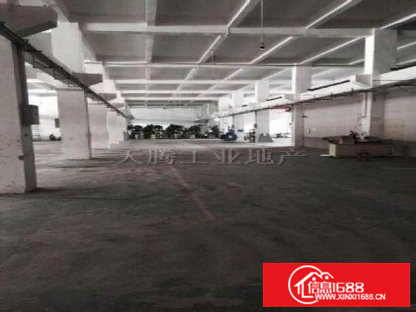 勒流富安标准工业园3500方厂房出租