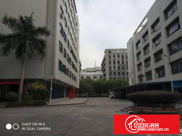 坪山带红本可做医疗厂房998平招租享受政府补贴