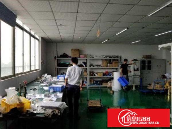 分租宝安松岗塘下涌双电梯精装厂房高速107宝安大道仓储优先