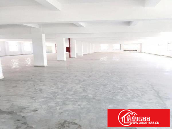 龙岗大道旁边、标准厂房出租、带装修