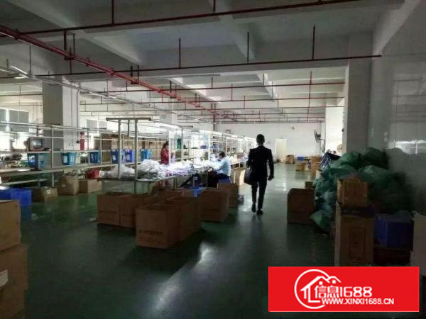 沙井大王山科技园楼上1800平米带精装修厂房出租