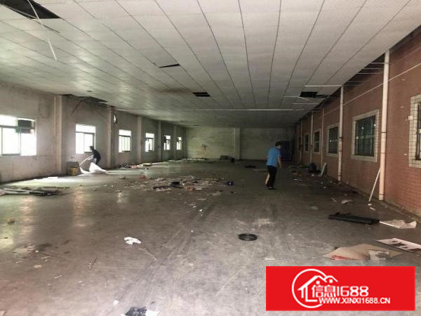 横沥镇单一层滴水6米高特惠价7块1000平招租