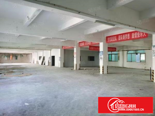 石碣镇横滘工业区一楼1000方