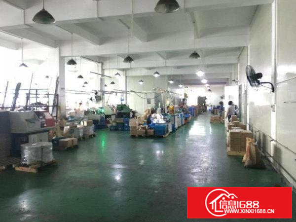 凤岗凤德岭新出超大空地一楼标准厂房1245平招租