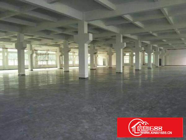 塘厦莲湖市场旁新建全新独院厂房4000平方水电齐全