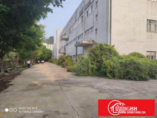 物流推荐龙岗丹竹头地铁口附近厂房出租仓库12000平方招租空地大交通便利