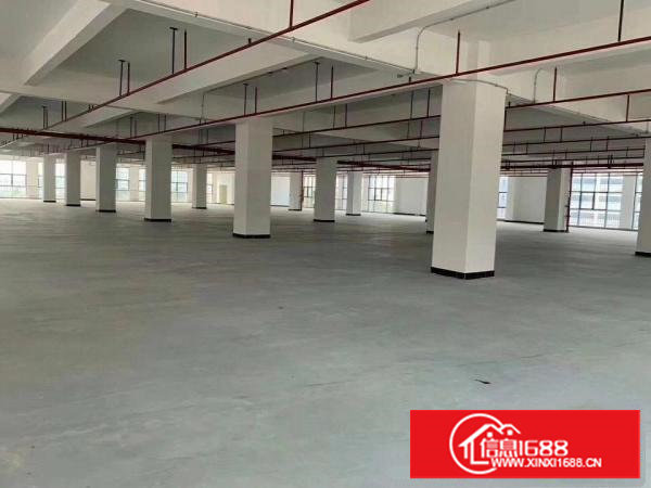 全新厂房出租楼上只要15元/平，大小可分租
