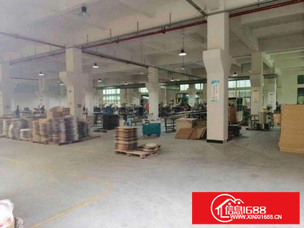 凤岗塘沥标准厂房一楼700平方分租，带牛角现成装修