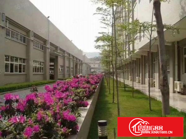 大岭山镇独院钢构厂房24000平方米出租12米高形象非常好