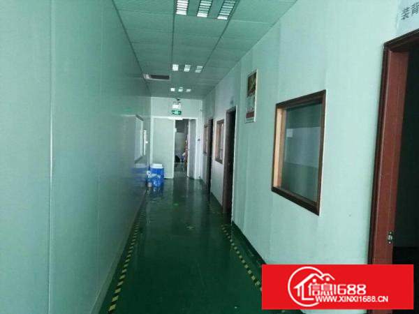 龙华公寓附近新出三楼950平厂房带装修无转让费出租