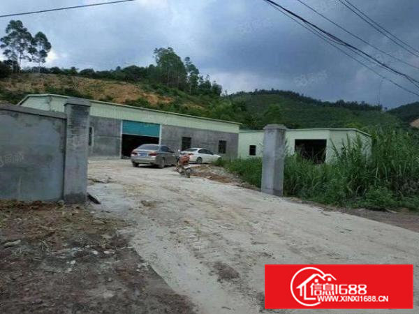 业主急租大朗沙步独院1000平方铁皮房10块甩租