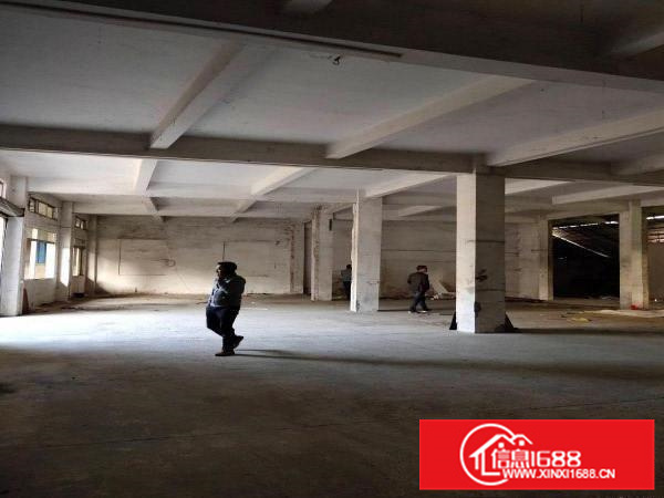 惠阳新圩新出红本标准厂房一楼850平出租