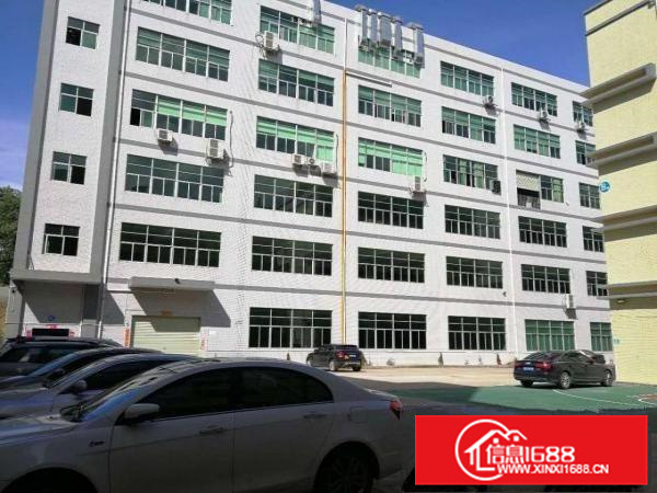 大亚湾2万平米原房东标准厂房招租