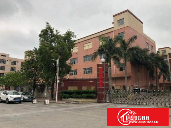 坪山碧岭新空出一楼整层1200平方,高度5米,空地很大