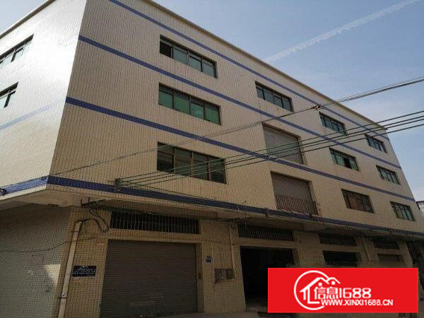 寮步下令贝附近独栋厂房出租