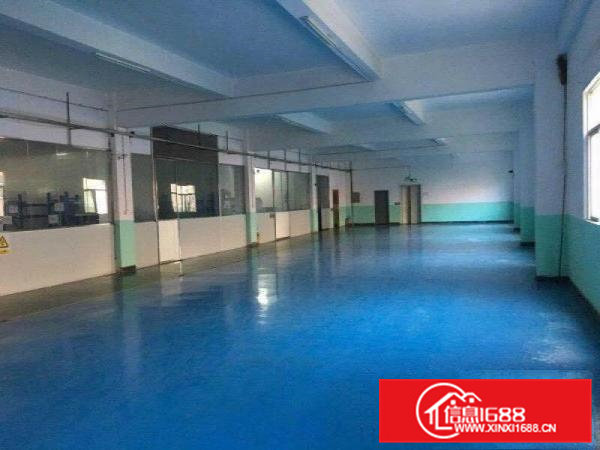 石排新出独院厂房！面积4000平米