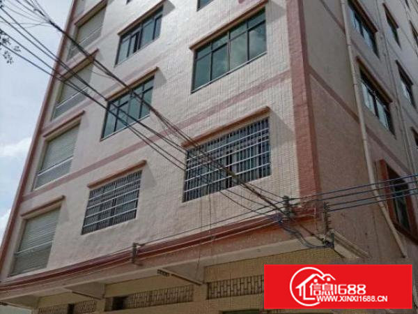 寮步岭厦村独栋新工业厂房（共七层）可分租