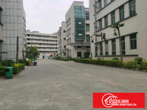 高端产业园5800平米