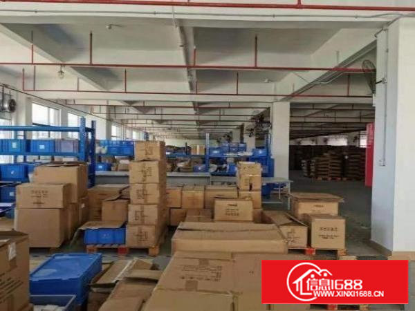 石岩园美一楼厂房出租1500平，有房产证，可分租