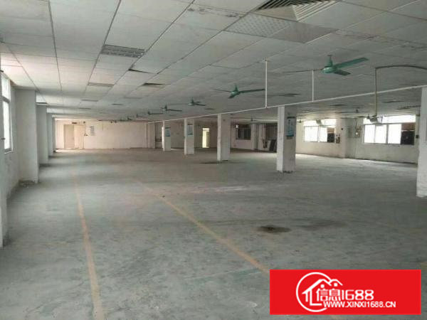 【独院】出租黄江镇田美社区标准一手房东独院厂房5000平出租