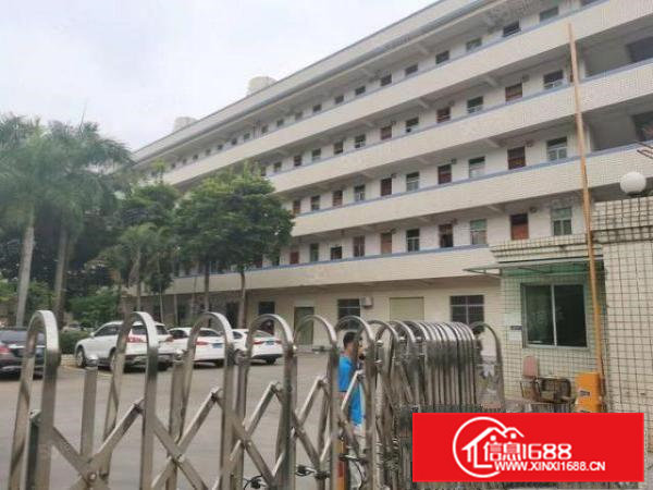 雁田布心工业区3500平原房东红本独院一楼仓库厂房出租可分租