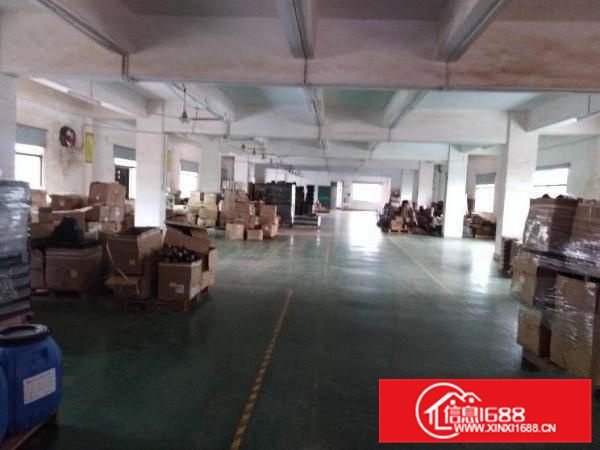 沥林镇工业园区800平方标准厂房出租