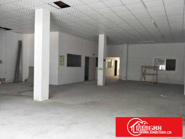 坪山沙博社区新出独院标准厂房1楼480平