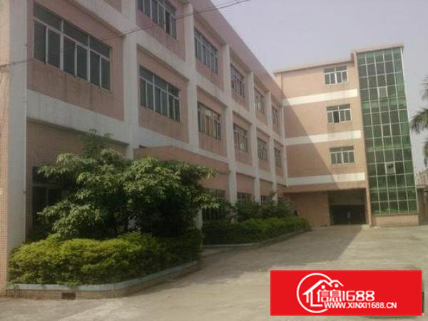 高埗独院标准厂房6000平方出租5米高工业用地可办环评