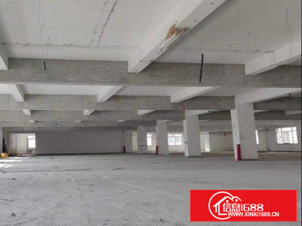 田心工业区精品厂房出租1000平，可环评