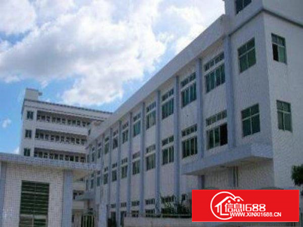 万江标准一楼1700平方带牛角厂房出租空地大方便停车，适合各