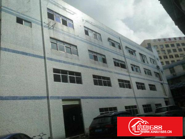 坪地坪西南路新出一楼600平业主直租