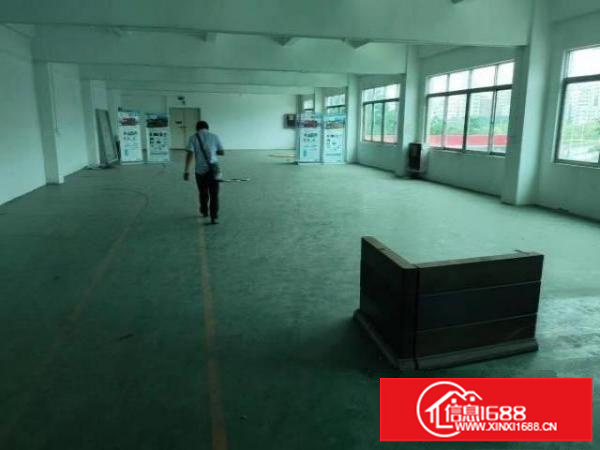 观澜福民观光路边，楼上650平方