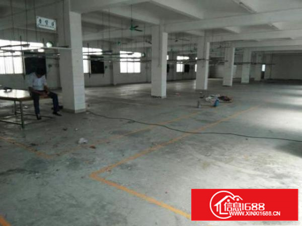 万江工业区标准厂房一楼1300平方招租空地大，交通方便