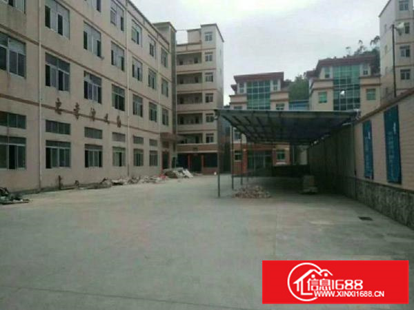 L龙岗同乐25200超靓两套独院厂房出租大小可分租