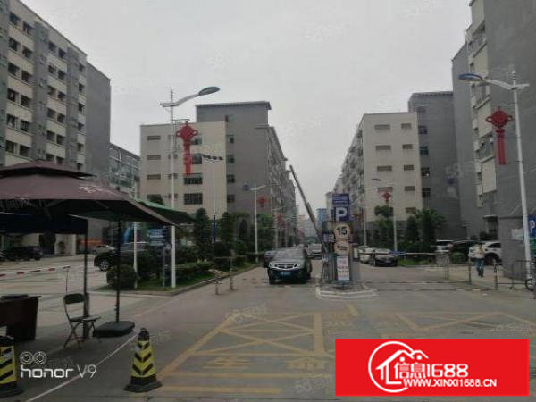 龙华大浪高新红本园区原房东实际面积出租1644平方带装修