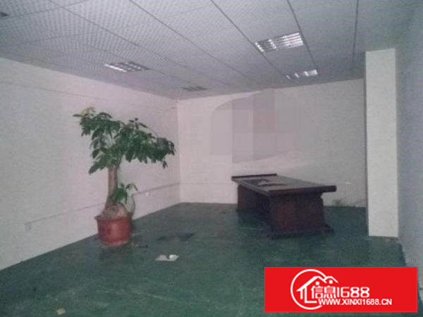 布吉布吉关出租一楼400平方带无尘车间厂房