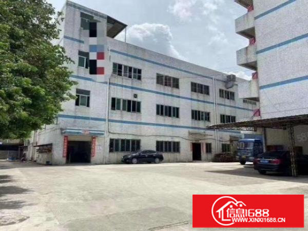 观澜新田宝地利市场附近村委独院厂房4800平方带装修厂房出租