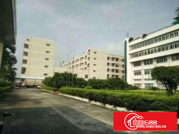 今日更新石排工业园厂房出租大小分租