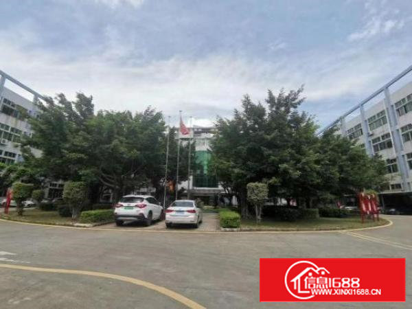 房东直租沙井和一楼上1100平标准重工业厂房招租