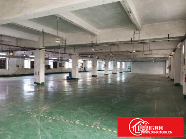 清溪镇铁松村新出2楼整层2400平带装修水电齐全(可分租)