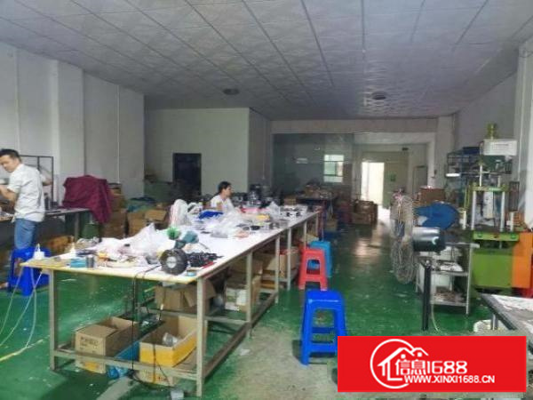 松岗朗下新出二楼330平带装修