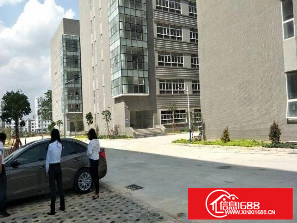 惠阳秋长原房东厂房55000平方出租