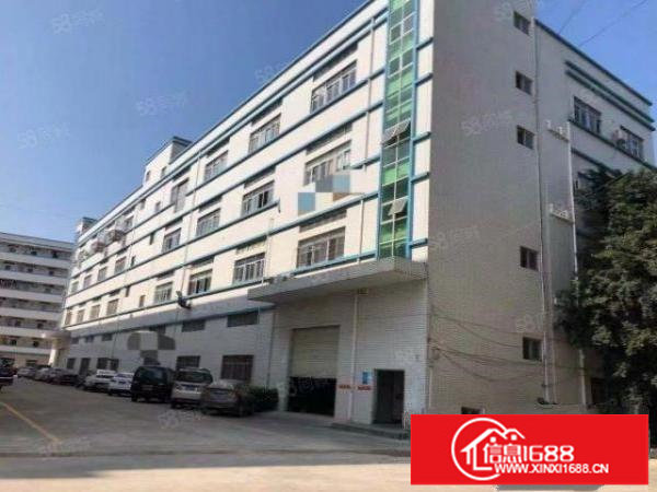 石井新空出一楼700平方高度5.5米。带装修好办公室