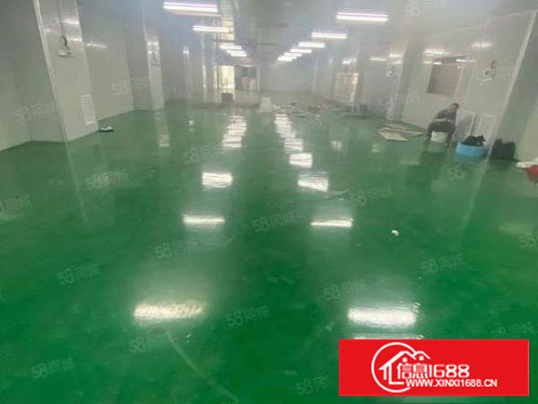 塘厦诸佛岭院标准2楼1250平方！九成新千级无尘车间