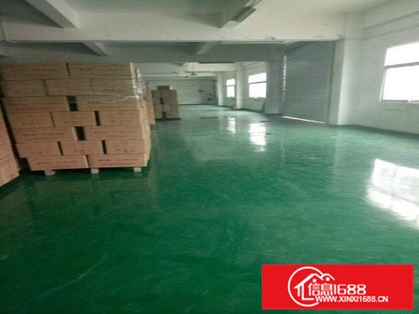 油甘埔省道旁原房东全新8米高钢构1500平方面积实在