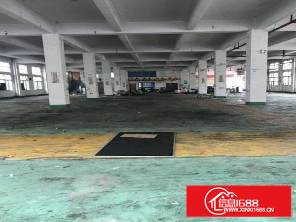 沙井107国道南浦路林坡坑工业区6500平独院招租