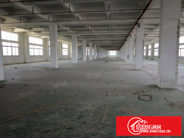 佛山顺德区北滘镇新出原房东标准独门独院厂房2600方