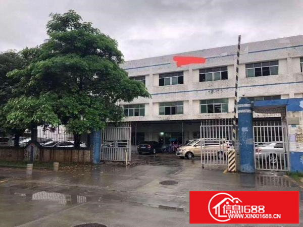 平湖华南城附近新出1至3层2550平独院厂房