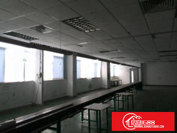 陈江独门独院厂房出租950平米价格实惠