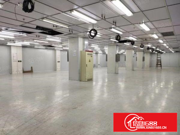 西乡，臣田楼上整层2600平，带精装修办公室无尘车间，直租